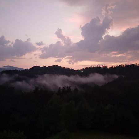 Appartement Fam.Kremser Leutschach Buitenkant foto