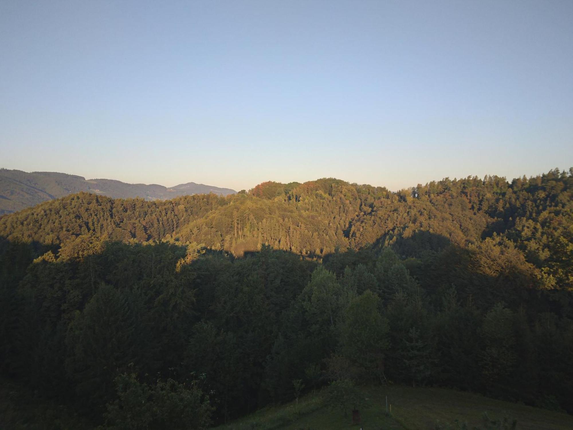 Appartement Fam.Kremser Leutschach Buitenkant foto